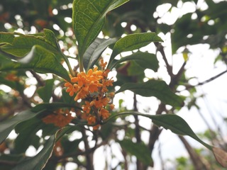 A3CE476A-B829-4406-8EFF-CBE3F8AF5E17.jpeg